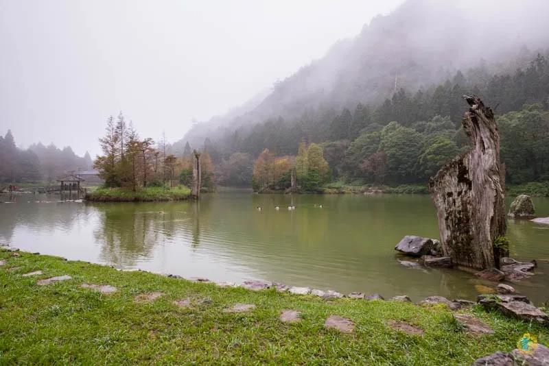 宜蘭旅遊推薦》明池山莊＆森林遊樂區 - 雲霧仙境の北橫明珠