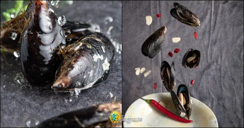 馬祖淡菜》馬祖創新宅配伴手禮世貿行銷｜馬祖高粱、馬祖老酒戀奶、戀上馬祖蛋捲驚喜上市