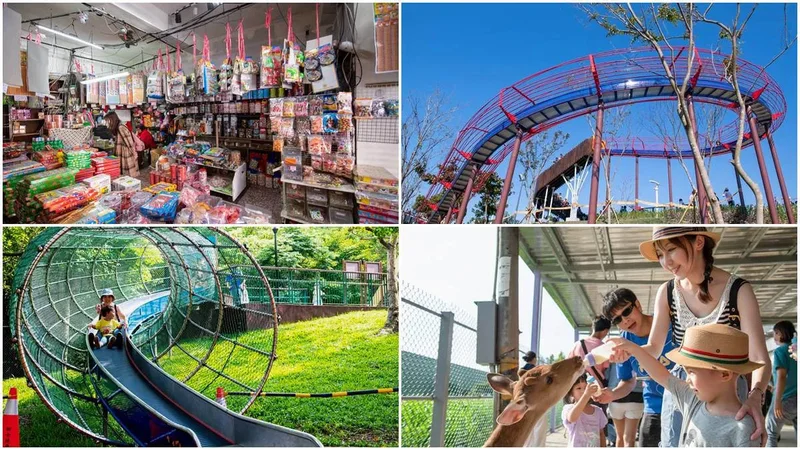 桃園親子遊必衝的五個行程》50公尺超長滾輪溜滑梯、超萌梅花鹿互動、超夯兒童高空溜索、 利百代彩筆文創館、懷舊零食童玩大集合