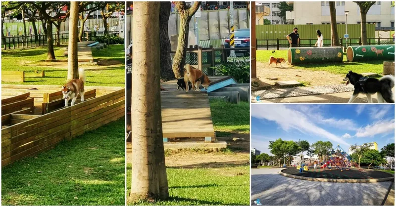 桃園福林公園寵物遛放區》桃園寵物公園推薦｜寵物、親子共存的運動公園