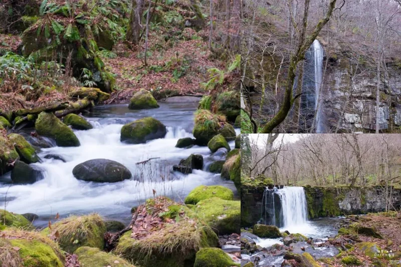 青森奧入瀨溪散策》日本東北景點推薦｜日本青森夢幻極景