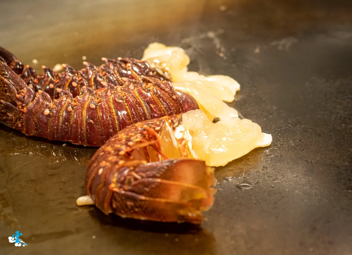 樂多多明水然・樂 高檔日式鐵板燒 林口昕境店新登場，網路爆紅，限時優惠驚喜不斷！