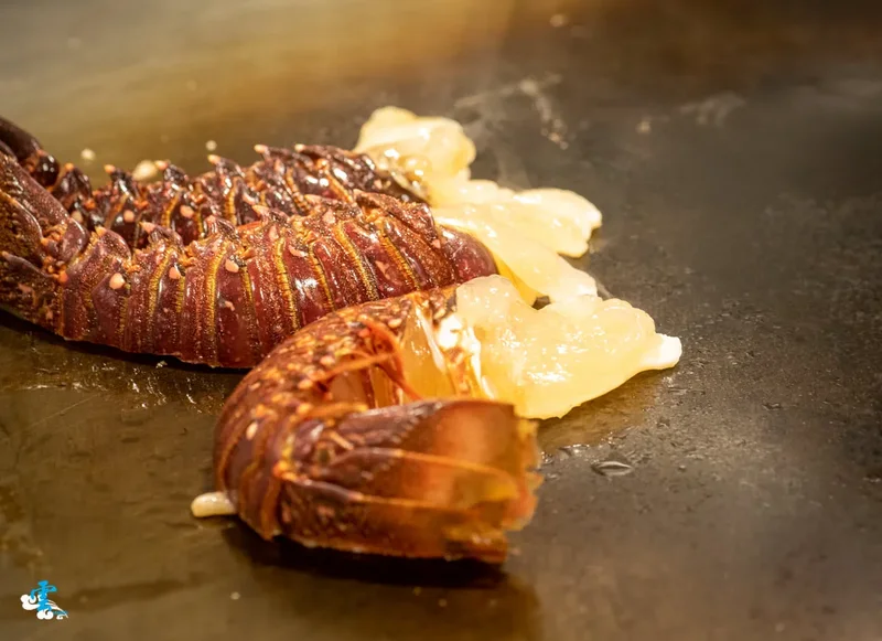 樂多多明水然・樂 高檔日式鐵板燒 林口昕境店新登場，網路爆紅，限時優惠驚喜不斷！